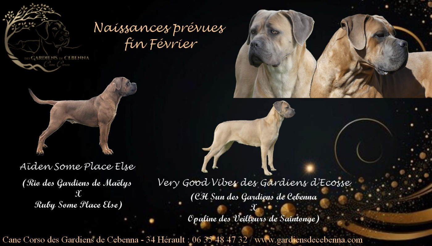 Nouvelle portée à venir