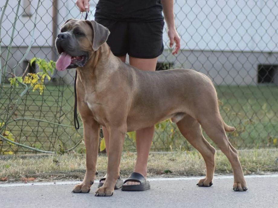 Nouvelle recrue à l'élevage