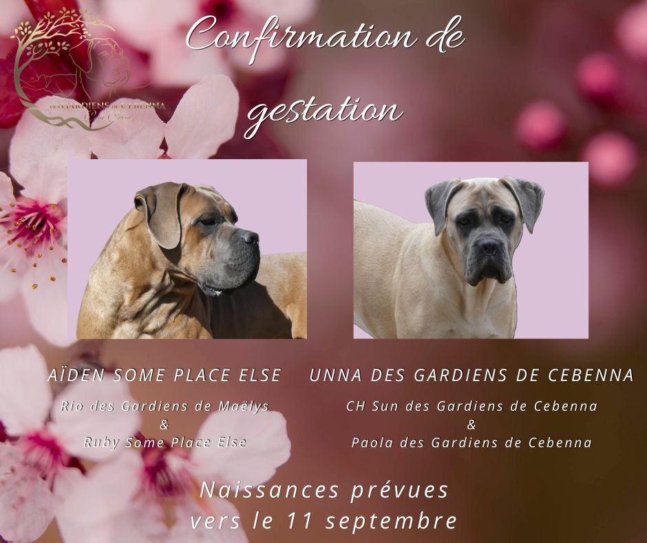 Portée à venir