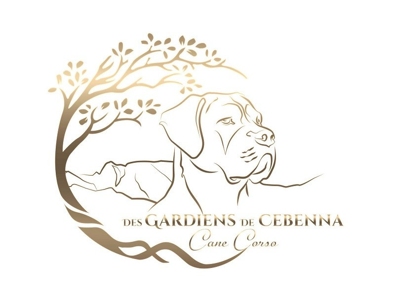 Des Gardiens De Cebenna